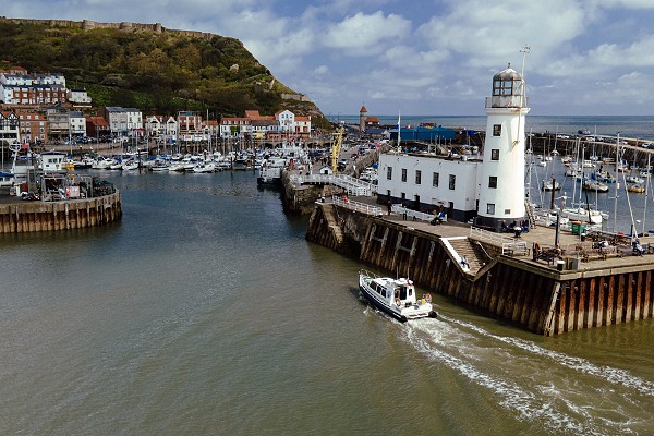 scarborough seal boat trips